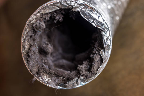 Best Emergency Air Duct Cleaning  in Cookeville, TN
